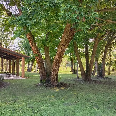 La Casetta Nel Bosco Holiday home Mantova
